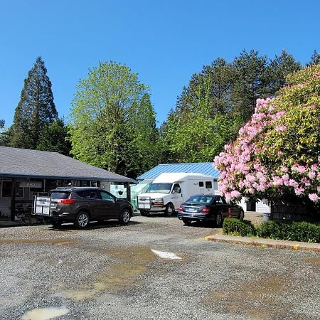 The Bunkhouse Motel Nehalem Buitenkant foto