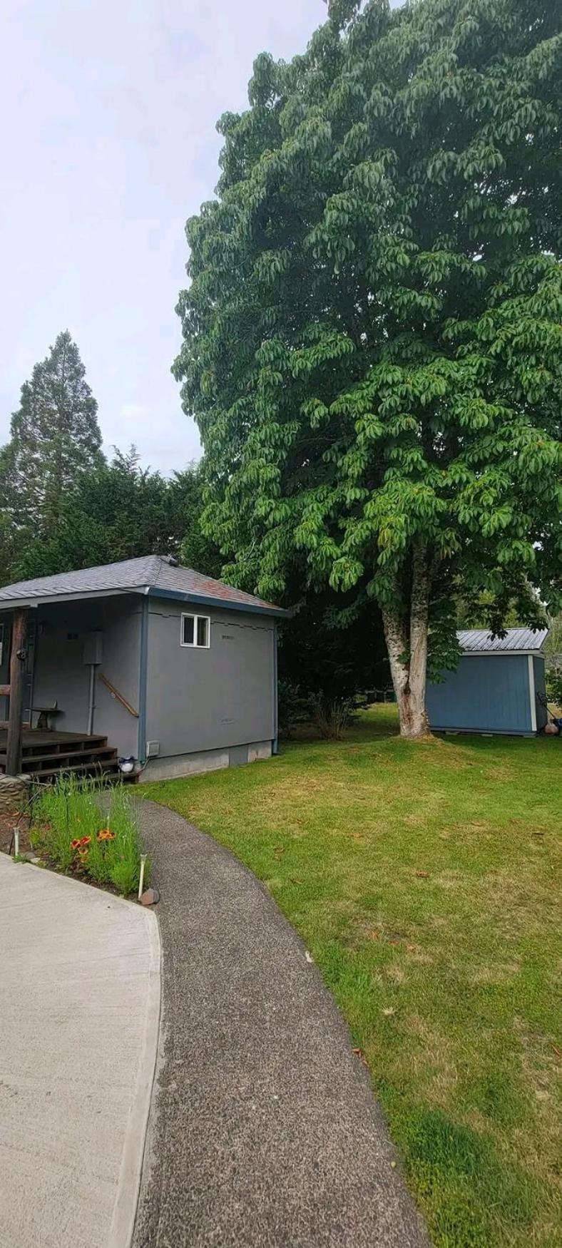 The Bunkhouse Motel Nehalem Buitenkant foto