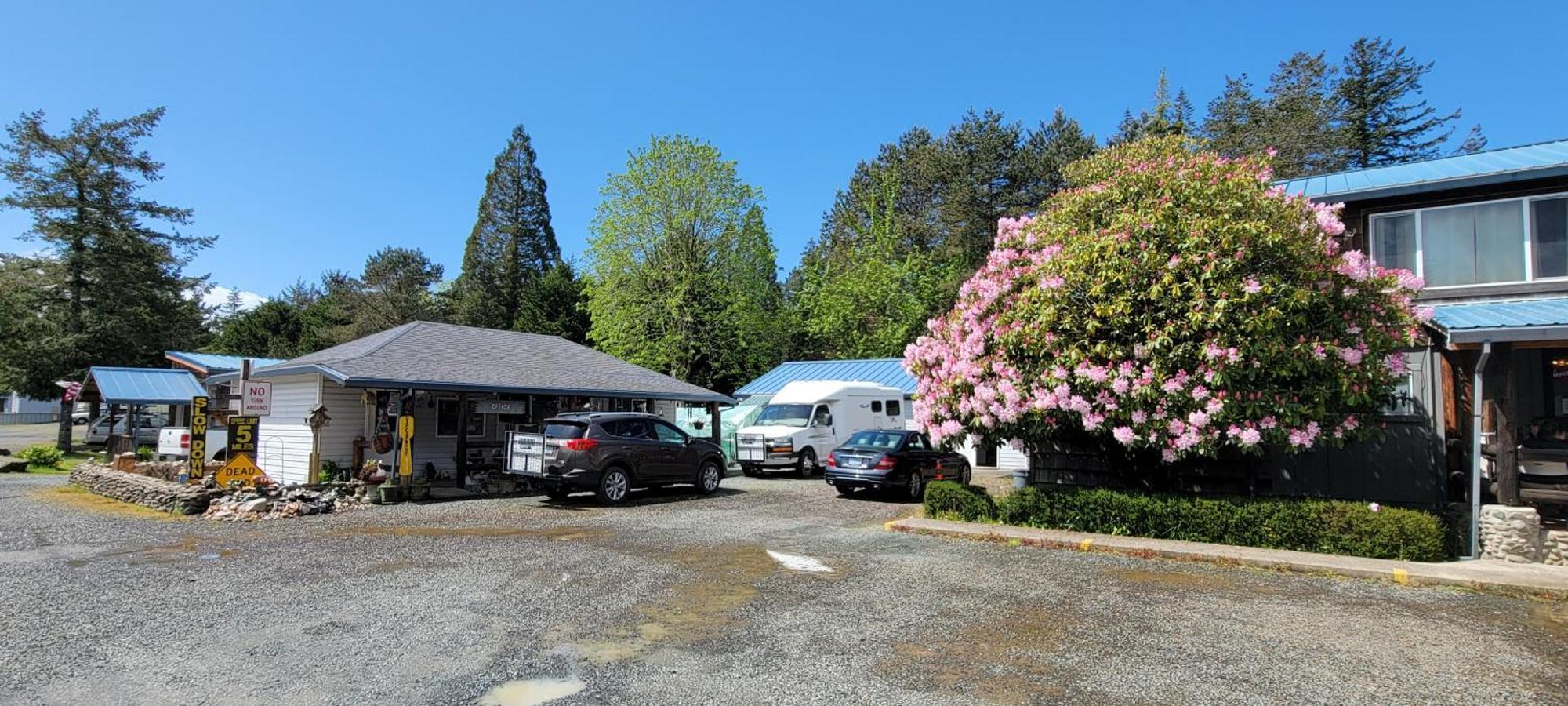 The Bunkhouse Motel Nehalem Buitenkant foto